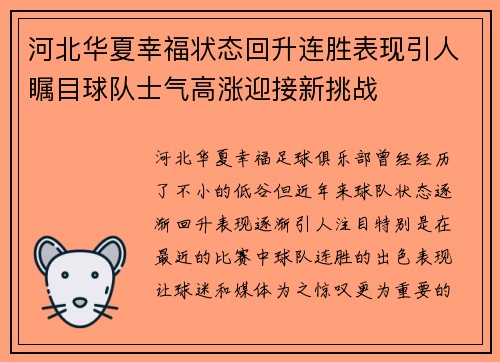 河北华夏幸福状态回升连胜表现引人瞩目球队士气高涨迎接新挑战