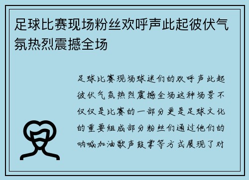 足球比赛现场粉丝欢呼声此起彼伏气氛热烈震撼全场