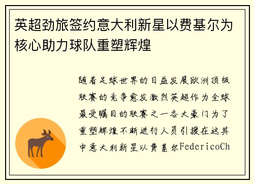 英超劲旅签约意大利新星以费基尔为核心助力球队重塑辉煌
