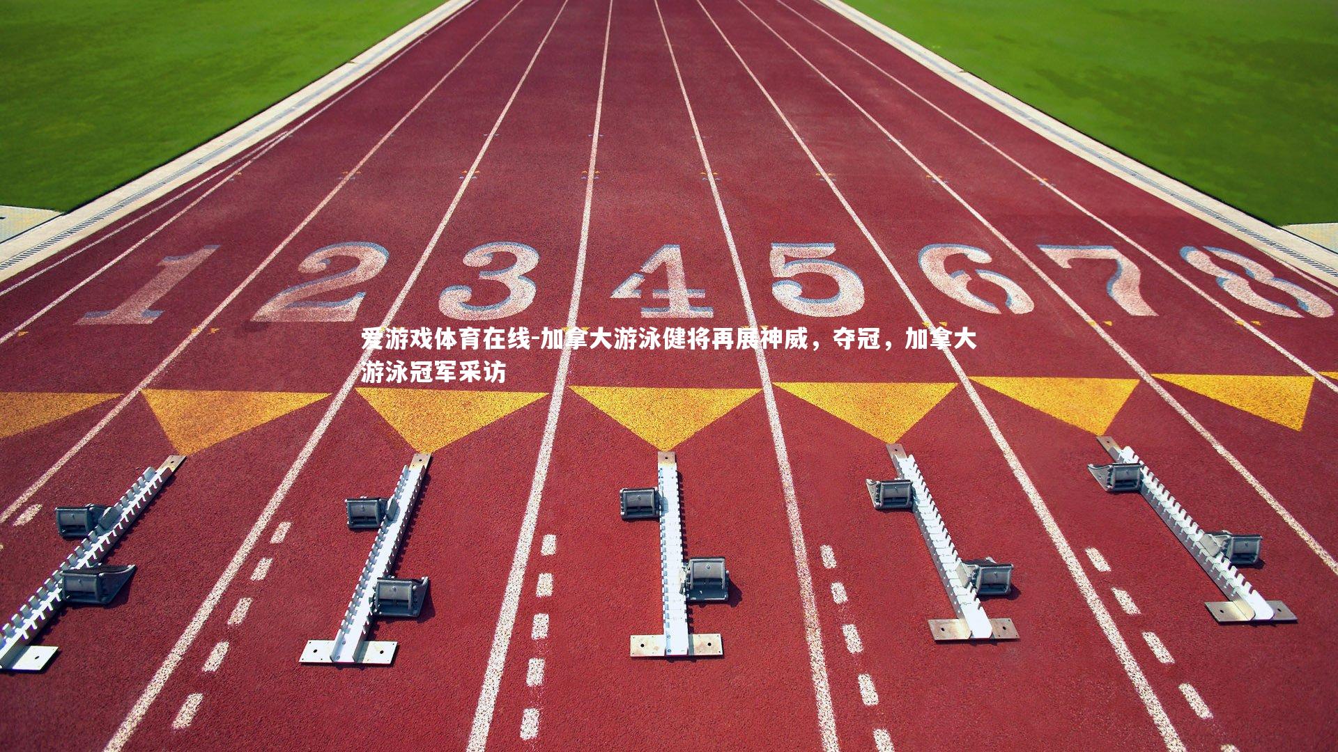 加拿大游泳健将再展神威,夺冠,加拿大游泳冠军采访