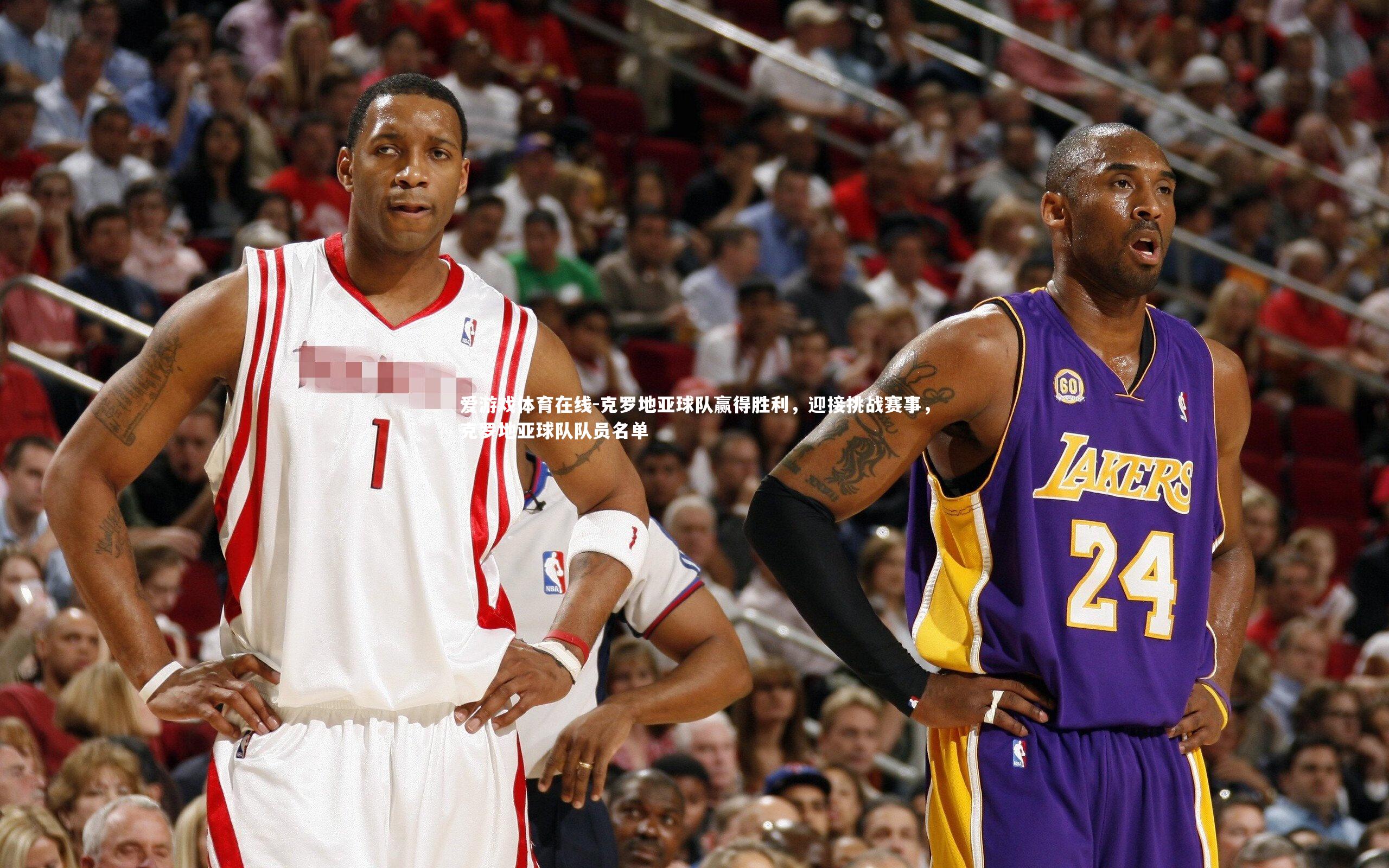 克罗地亚球队赢得胜利,迎接挑战赛事,克罗地亚球队队员名单